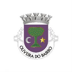 CM Oliveira do Bairro